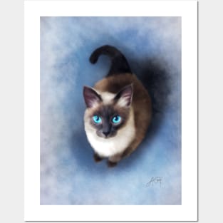 Siamese Cat Posters and Art